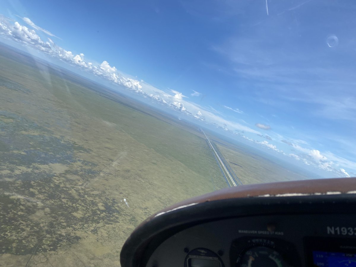 Gustavo Junco tweet media