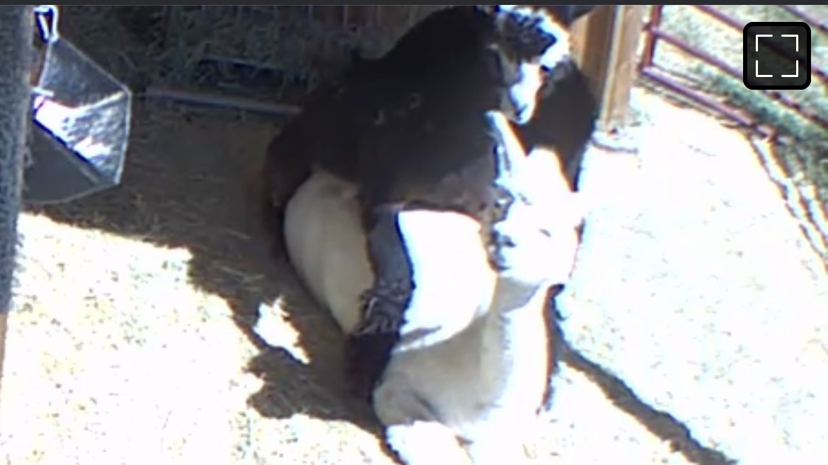 WE GAVE YOU A BABY ALREADY