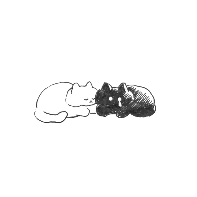 ねこ 