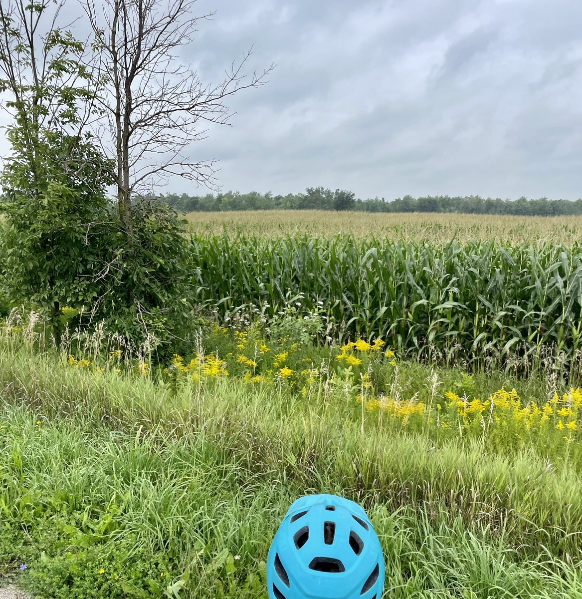 I’ve been cycling rail trails for many years, often with my oldest riding beside me &amp; my youngest on the back of my bike.
 
It’s a special moment when your youngest kid can ride a bike on their own!
 
Today my 5YO &amp; I did our first rail trail ride together: 15km on <a href="/G2GRailTrail/">G2G Rail Trail</a>