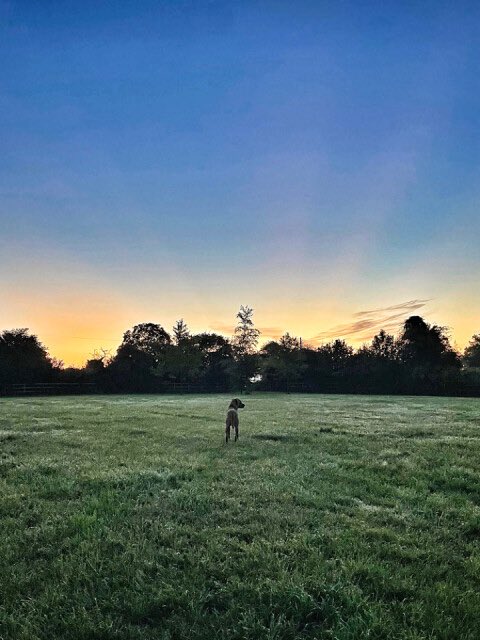 Selina Stephen tweet media