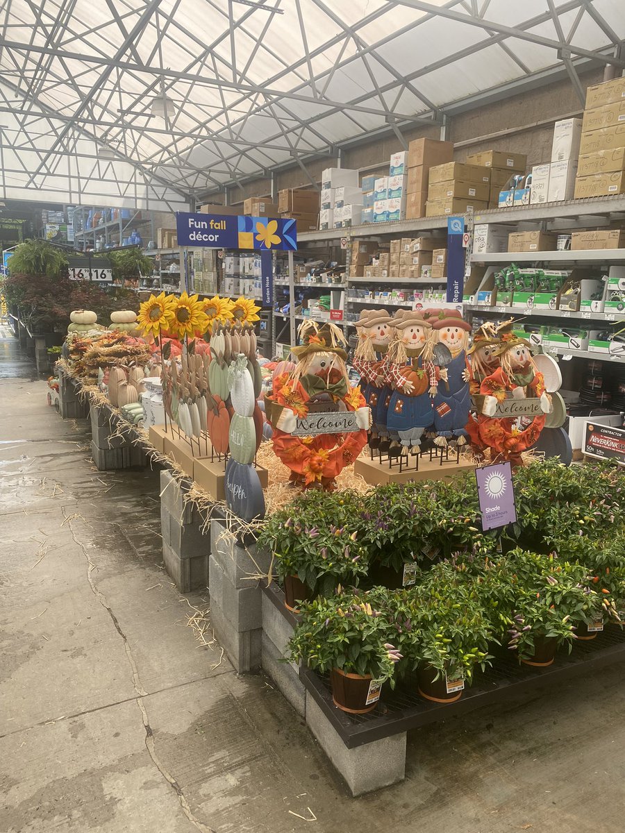 Daniel Humphrey (@danielh2848) on Twitter photo Lowe’s of Timonium MD is ready for Spooky Scary season!!! <a href="/Curt_Byrum/">Curt Byrum</a> <a href="/DRamirez720/">David J. Ramirez</a> <a href="/GallianoScott/">ScottGalliano</a> <a href="/MYoungsonLowes/">Michael Youngson</a> <a href="/CrystalNeels/">crystal neels</a> <a href="/DCT0813MD/">Dante Thomas</a> <a href="/BenitoKomadina/">Benito.Komadina@Lowes</a> <a href="/LBishPlants/">Lora Bishop</a> Lowe’s of Timonium MD is ready for Spooky Scary season!!! <a href="/Curt_Byrum/">Curt Byrum</a> <a href="/DRamirez720/">David J. Ramirez</a> <a href="/GallianoScott/">ScottGalliano</a> <a href="/MYoungsonLowes/">Michael Youngson</a> <a href="/CrystalNeels/">crystal neels</a> <a href="/DCT0813MD/">Dante Thomas</a> <a href="/BenitoKomadina/">Benito.Komadina@Lowes</a> <a href="/LBishPlants/">Lora Bishop</a>