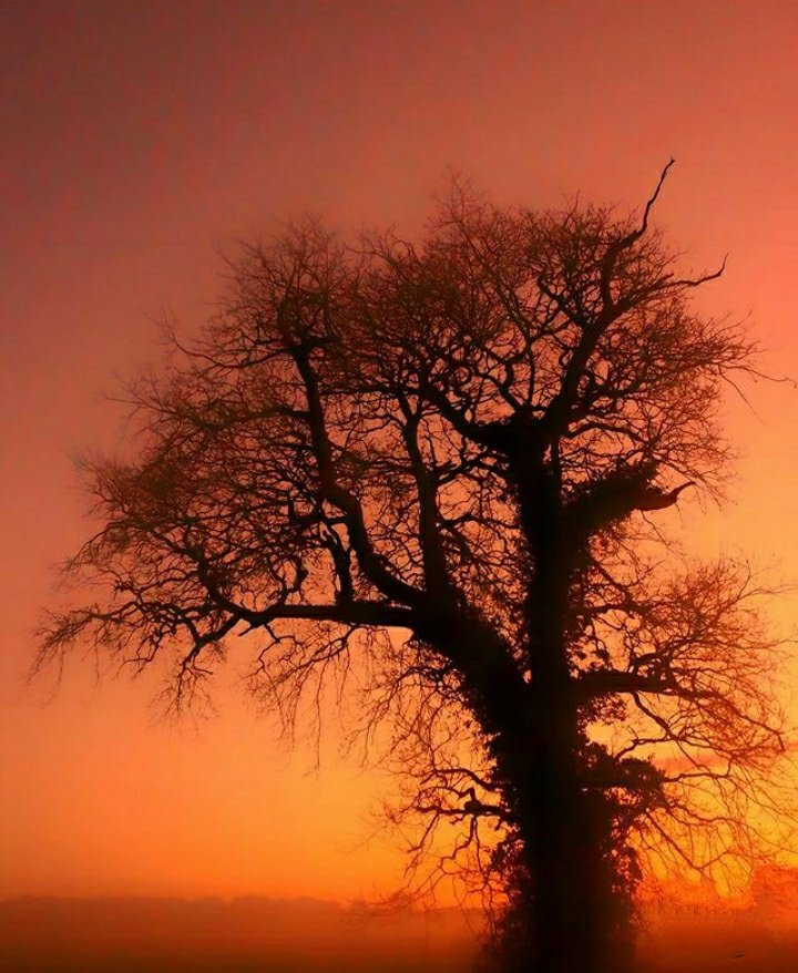 clicks1222's tweet photo. Photographers 🌄

Show Me Your Stunning Shots Of 2023 🍂

Re-Tweeting !!! The best ones I like .
#photography 
#photooftheday 
#sunsetphotography https://t.co/IlpY8SFyt2