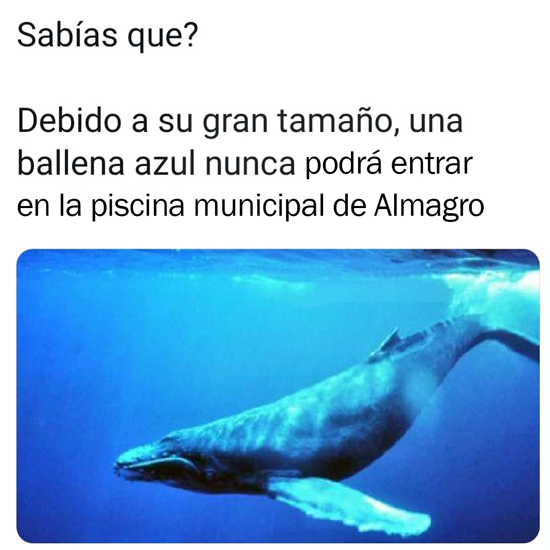 Memes Bolaños (@MemesBolanos) / Posts / X, image size:1069x1068