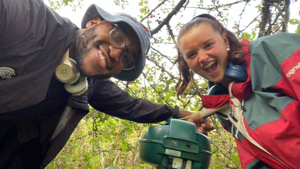 MosquitoScotland tweet media