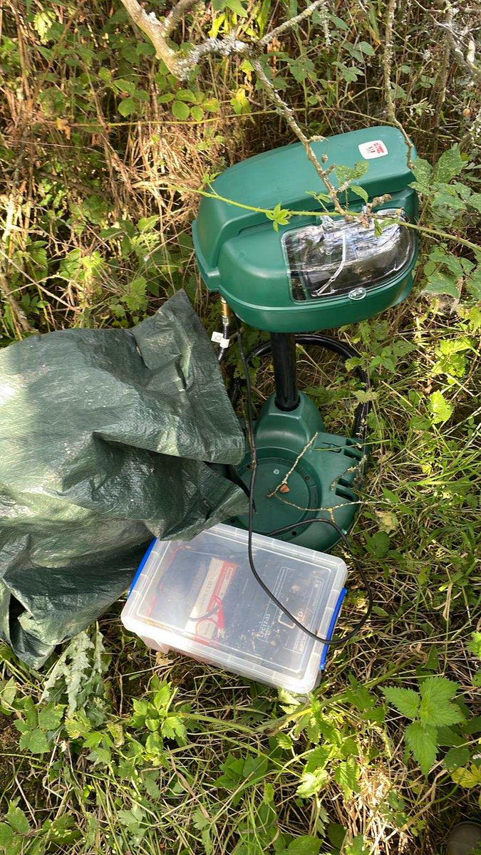 MosquitoScotland tweet media