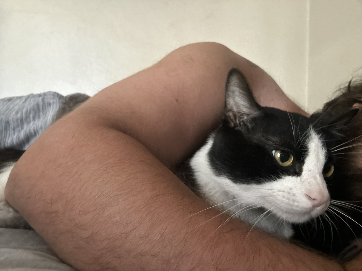 C3POsRepairguy's tweet photo. Keetee cuddle https://t.co/NeRthAmF9Q