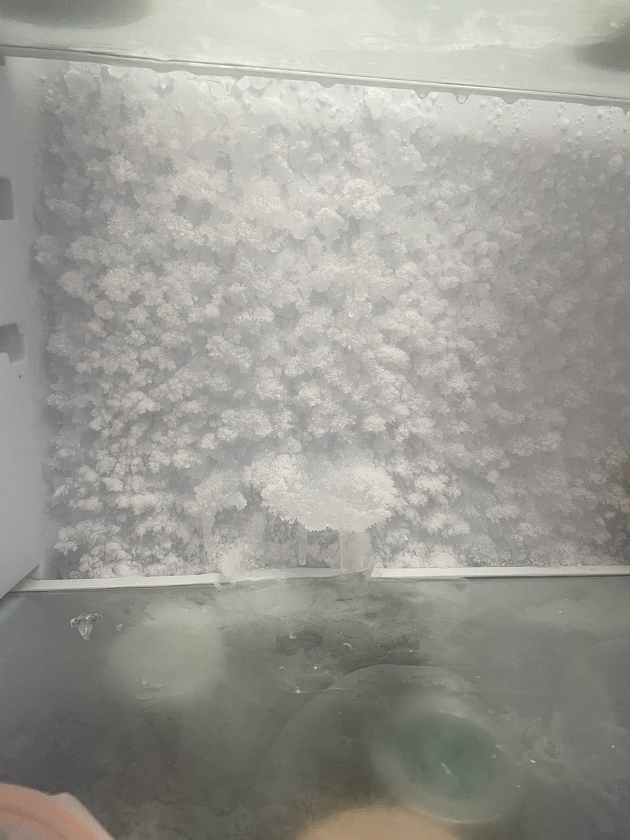 salonchique's tweet photo. Not even a year old and this is the back of my CDA FRIDGE!! Not freezer… fridge. As if @WrenKitchens hadn’t screwed us enough 😩 #CDA #CDAFridge https://t.co/AfYc1tF2Tt