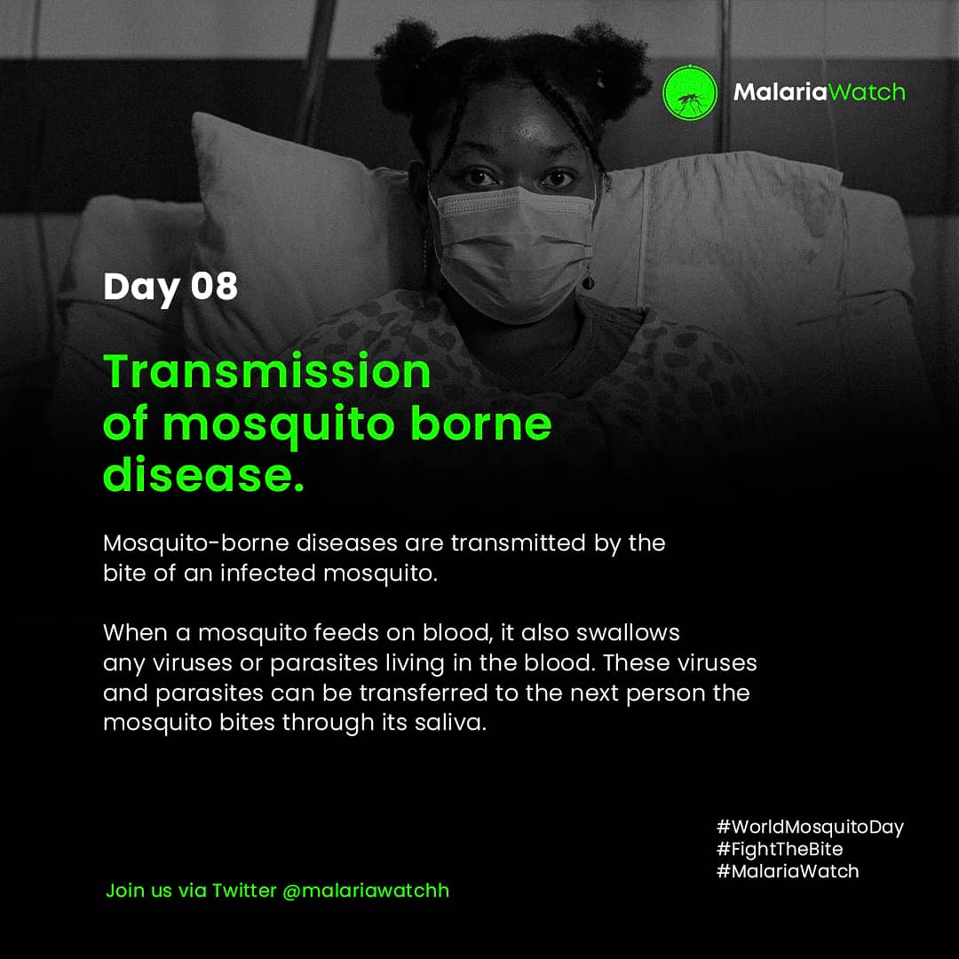 sokiothefirst's tweet photo. DAY 7 - SUCCESS STORY 1: MALARIA-FREE ZAMBIA π³π¦
DAY 8 - TRANSMISSION OF MOSQUITO BORNE DISEASE π―π¦
#WorldMosquitoDay #FightTheBite #MalariaWatch https://t.co/G2xFsW2CYQ