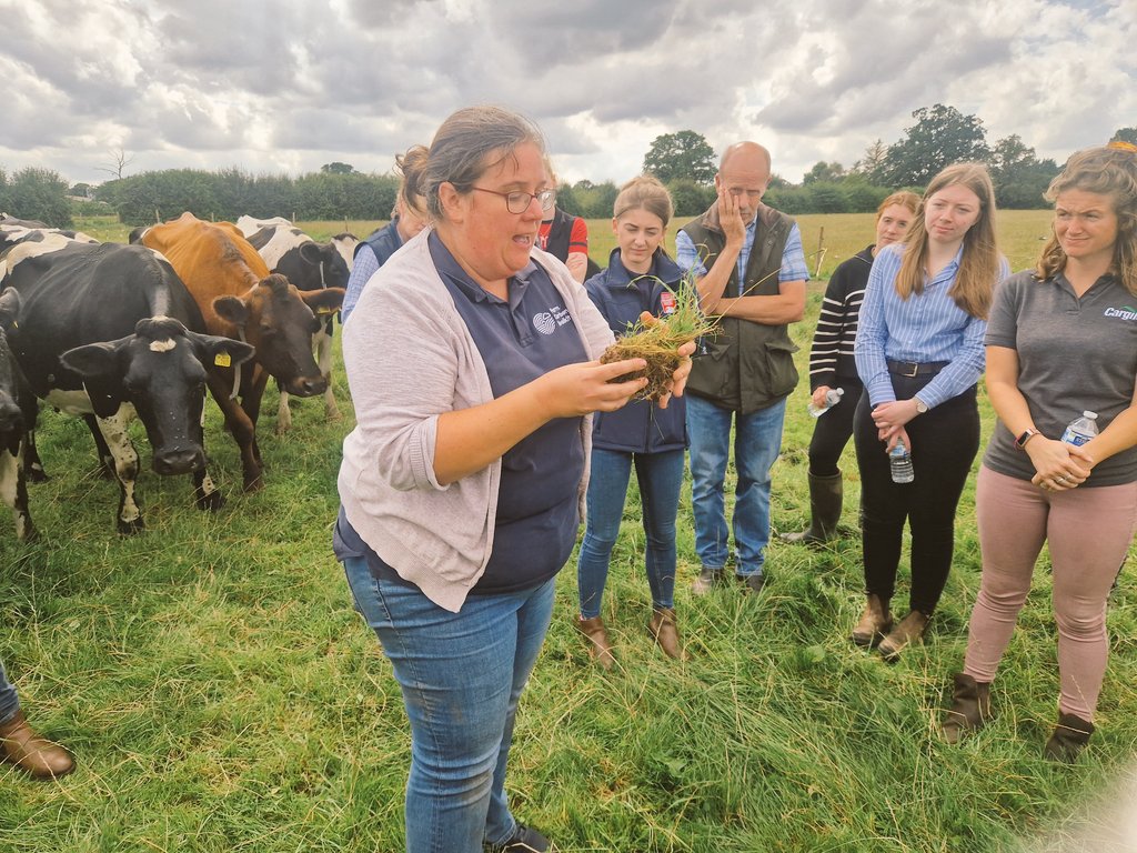 Tim Downes tweet media