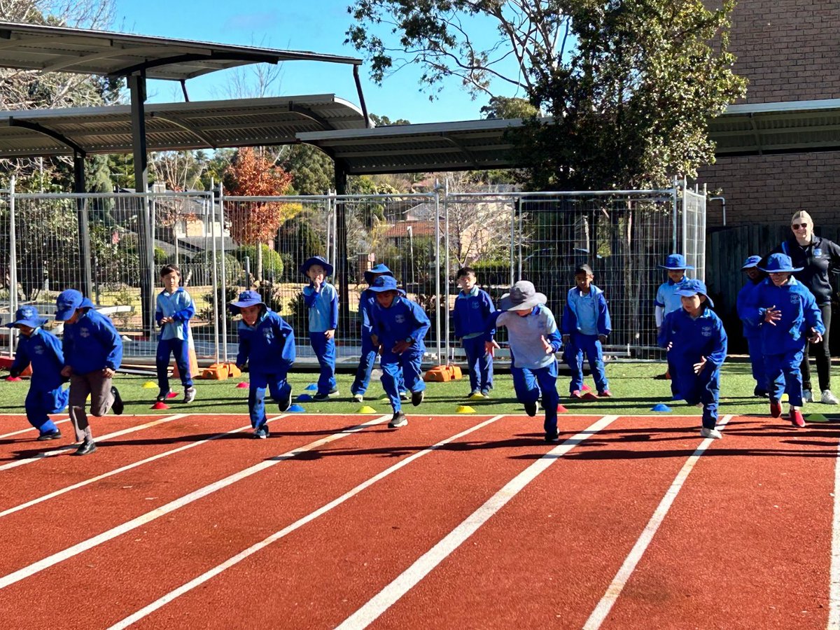 Matthew Pearce PS tweet media