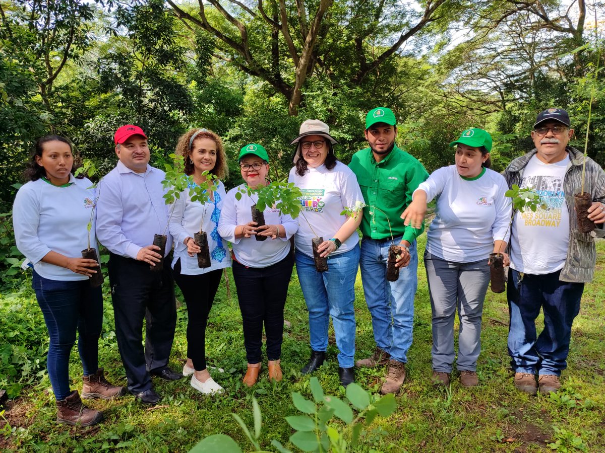 MarenaNicaragua's tweet image. En alianzas con la empresa #COMASA, llevamos a cabo jornada de reforestación con la cantidad de 2,000 plantas de la especie forestal Madero negro, en la ribera del Río Acome, mismo que se ubica en el municipio de Chinandega.

Campaña nacional “#VerdeQueTeQuieroVerde”

#Nicaragua