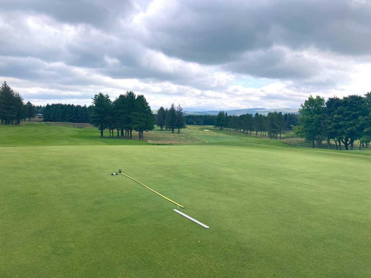 stufergusonmg's tweet photo. Course Looking and playing well at this stage. Green Speeds consistent measuring “10 Lagers” #MoorChat https://t.co/kqcE1odtt1