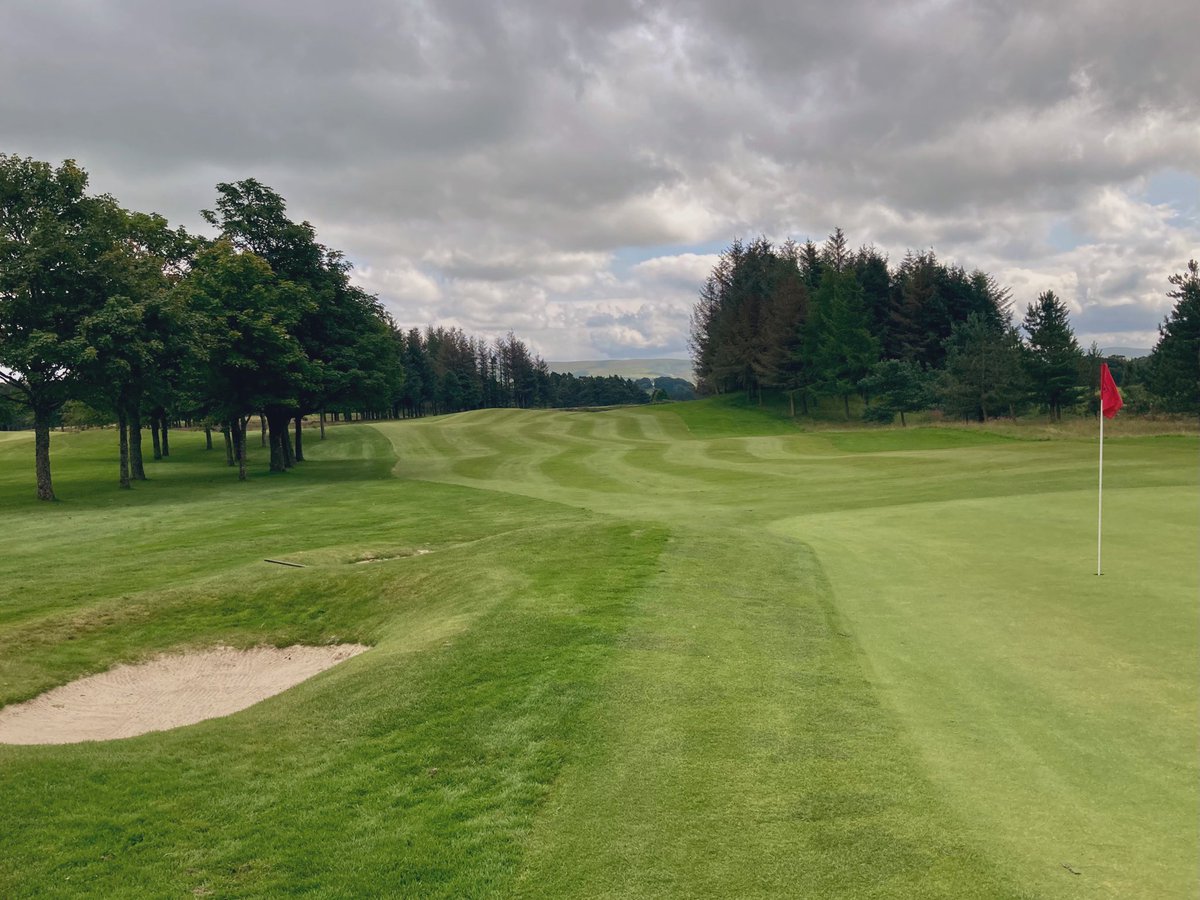 stufergusonmg's tweet photo. Course Looking and playing well at this stage. Green Speeds consistent measuring “10 Lagers” #MoorChat https://t.co/kqcE1odtt1