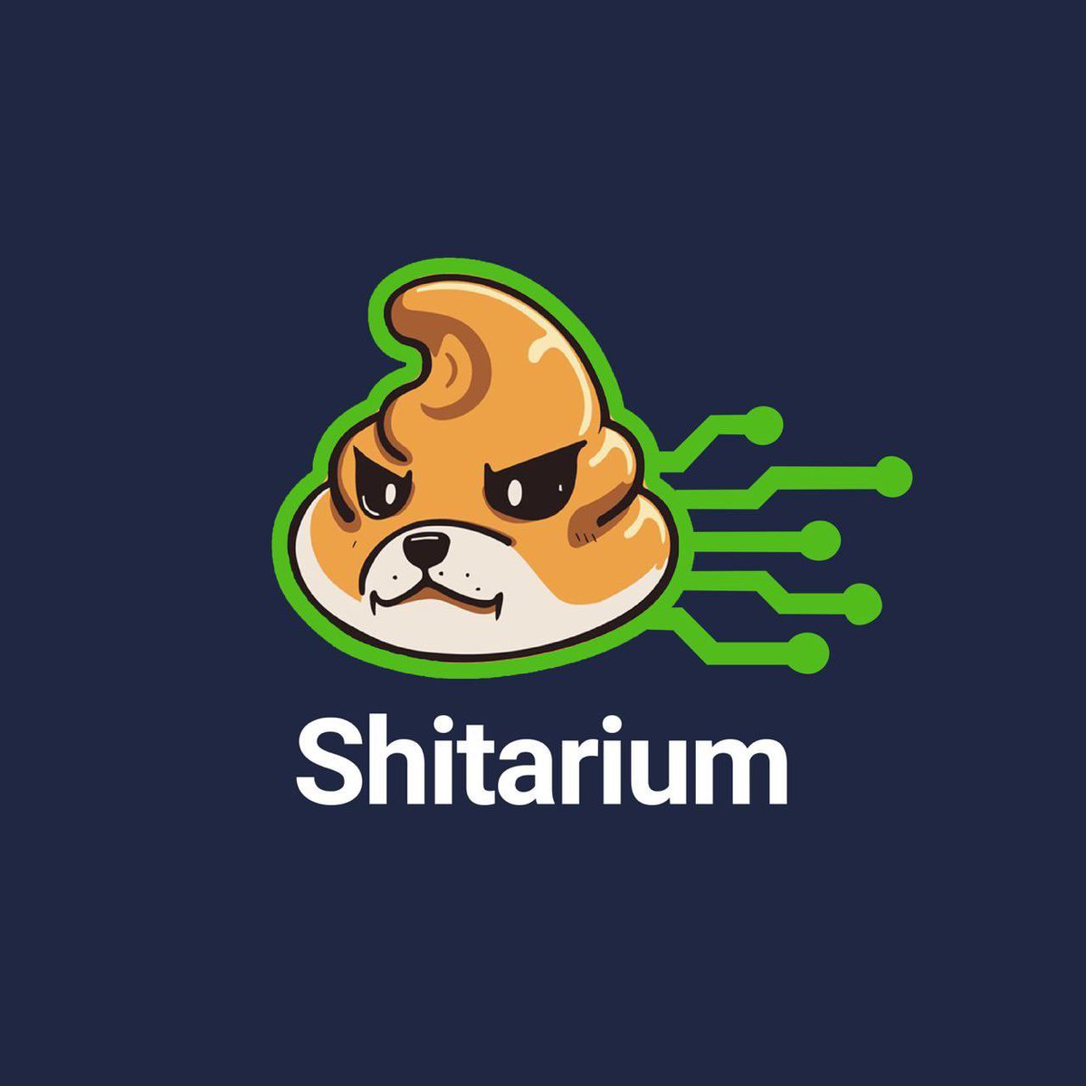 Josh4Valdez's tweet photo. @CBgBull The #Shitarium community is 100% community driven and starting to pick up steam. 

If you had bad luck with #Shibarium, grab a bag of $SHIT and join us 💪 https://t.co/dOVl1uPF4m