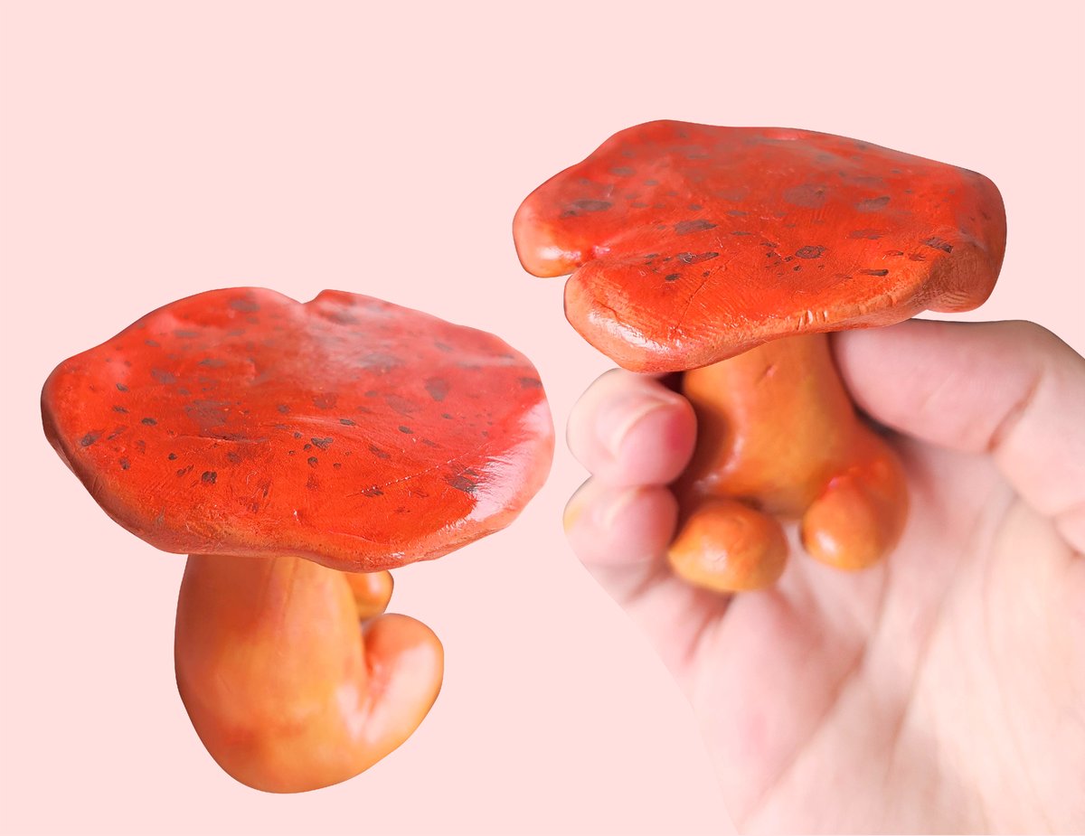 soup (check pinned) tweet media