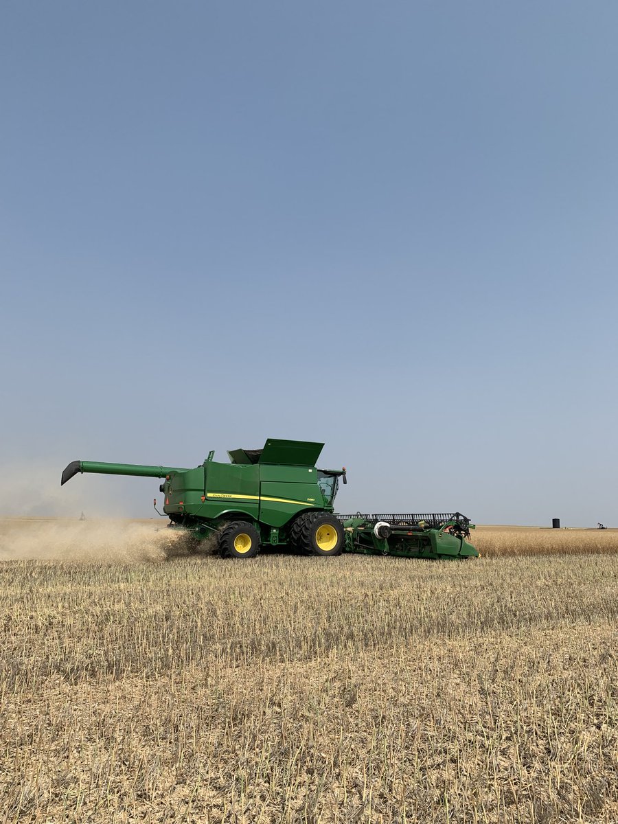 First DK400TL harvested commercially! 103 days and no preharvest.🥞🧈⁦<a href="/Bayer4CropsCA/">Crop Science Canada</a>⁩ ⁦<a href="/DEKALB_Canada/">DEKALB Canada</a>⁩