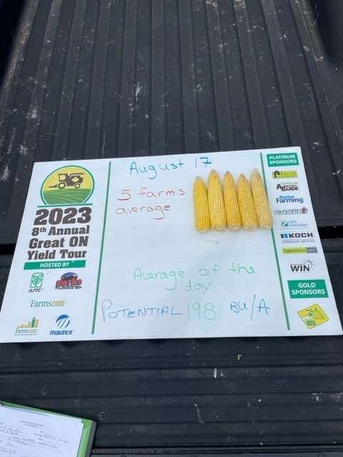 Continuation of Day 2 SD&amp;G Eastern Ontario Crop Tour Corn #ONYield23 
Stop #5 and daily average from 5 fields.
#GreenfieldGlobal