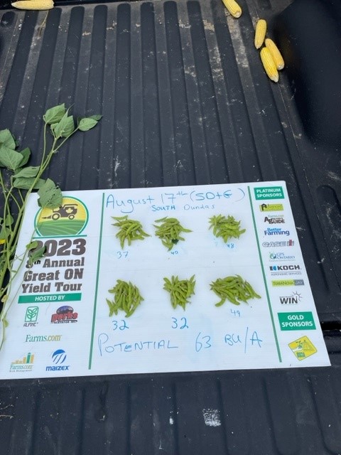 Day 2 SD&amp;G Eastern Ontario Crop Tour for Beans
#ONYield23 
#GreenfieldGlobal