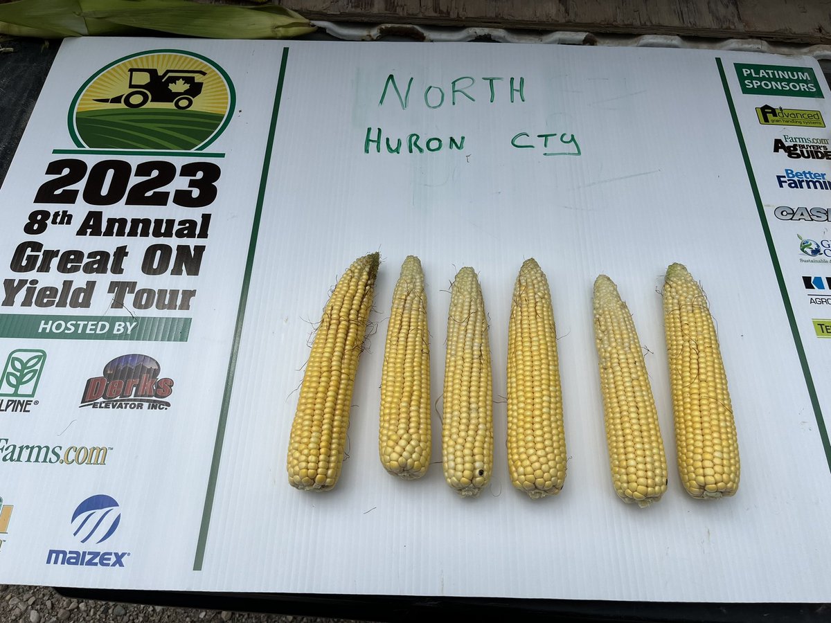 Wmitch99's tweet photo. #ONYield23@Maizex@OntAg https://t.co/XAZ24BKYon