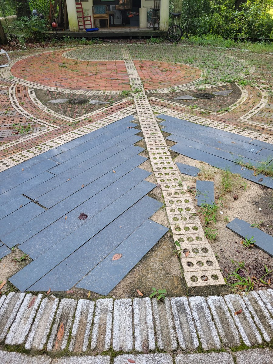 Barbara Murrisky tweet media