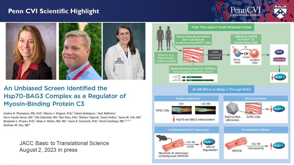 PennCVI's tweet photo. https://t.co/VgP9DAS1Km
CVI’s Highlighted #PapersoftheWeek @sday_hcm https://t.co/gSLHo9vr5T