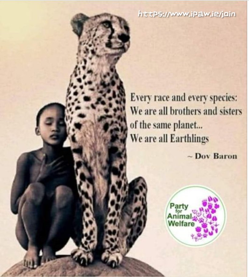 💜 🐆
Every race and every species:
We are all brothers and sisters
of the same planet...
We are all Earthlings

- #DovBaron
<a href="/TheDovBaron/">Dov Baron: Curiosity & Meaning #1 Podcast Host</a>

ipaw.ie/join

#eu2024
#le2024

Become a Party for Animal Welfare 🐾- Election Candidate.  Interested, please ✉️  info@ipaw.ie