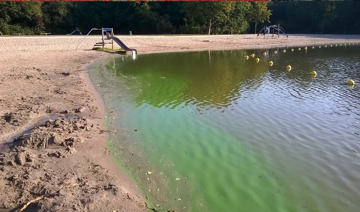 GL8 Media tweet media