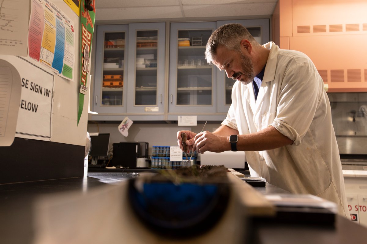 Will wildfires in California fuel extinctions? 
👉Paleoclimatologist and #CSUF professor of geological sciences, Matthew Kirby (@MkirbyE) speaks about his research of California’s former climate. 
🔖Read more in the @LATimes, and find out about his #expert research on