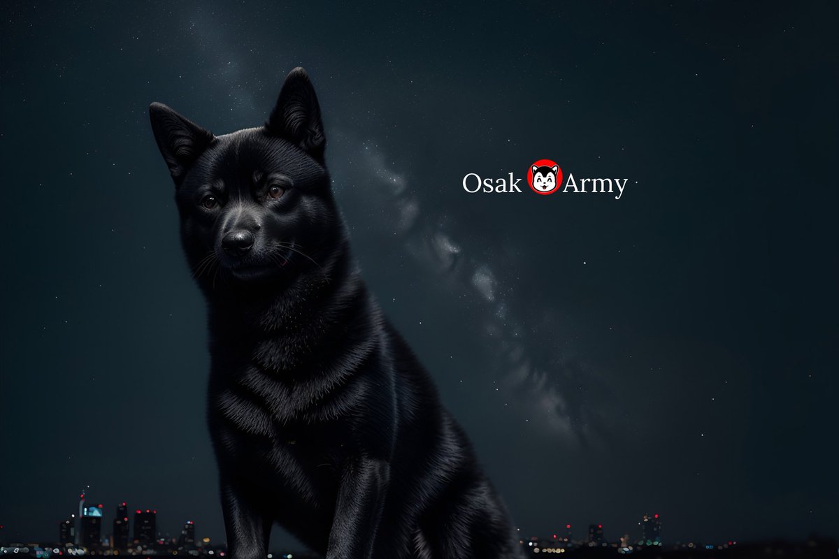 OsakGuy's tweet photo. Hello devs. We are already more than 2,000 devs on telegram and our Black Shibas flood more than 1,200 wallets. 

This is glorious and I feel better. You make me feel better because we are all the same.

$OSAK
#OsakaProtocol 

Join and be a dev
https://t.co/hg8nPaZfeC https://t.co/mK6qmMq9Og