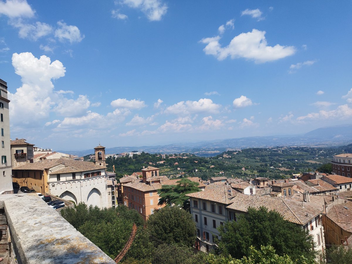 Christine O'Dwyer tweet media