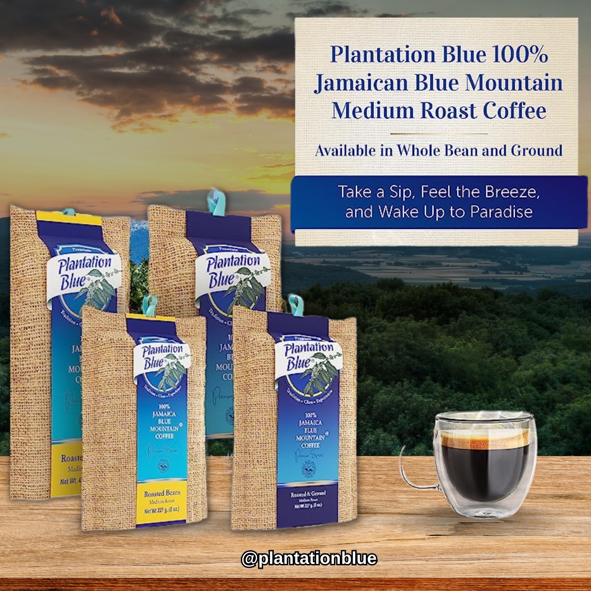 Escape to the tropical paradise with every sip of Plantation Blue 100% Jamaican Blue Mountain Coffee. #coffee #plantationblue #bestcoffee #bluemountaincoffee #coffeeproduct