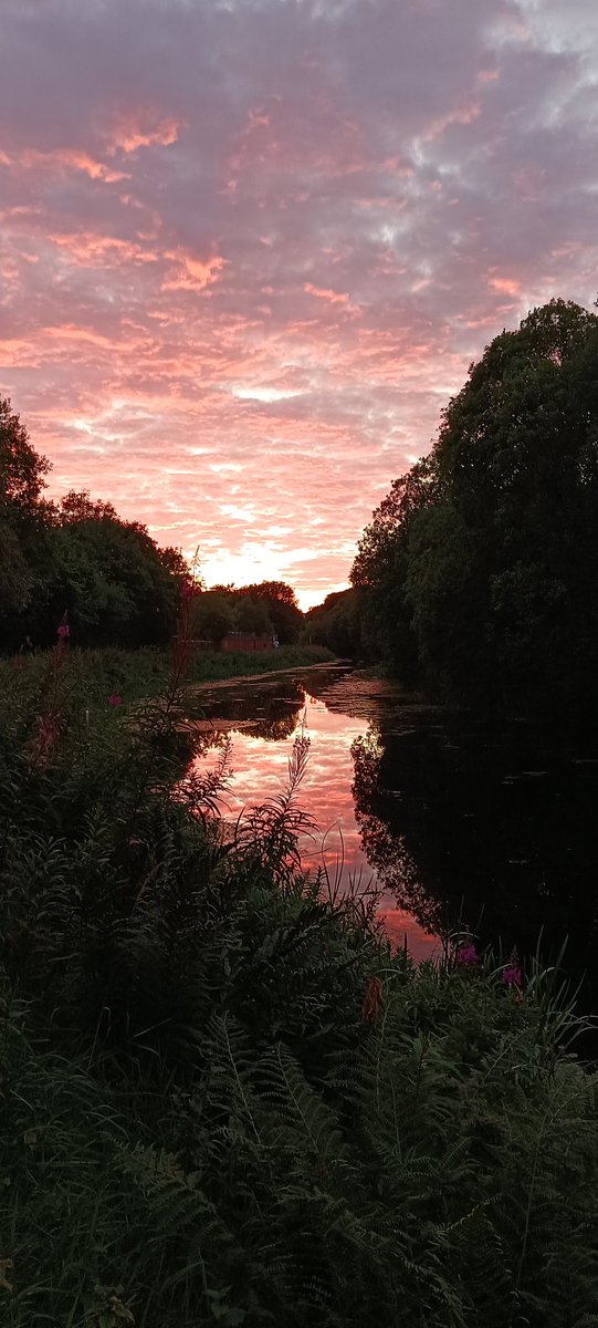 UntravelRoutes's tweet image. We had a great time today exploring the canal and a wee bit dip in the river. #goldenretriever #happydoggo #furbaby #nature #explorers #forthandclyde @scottishcanals #glasgow #walks #Happiness #positivevibes #sunsets #goldenhour
