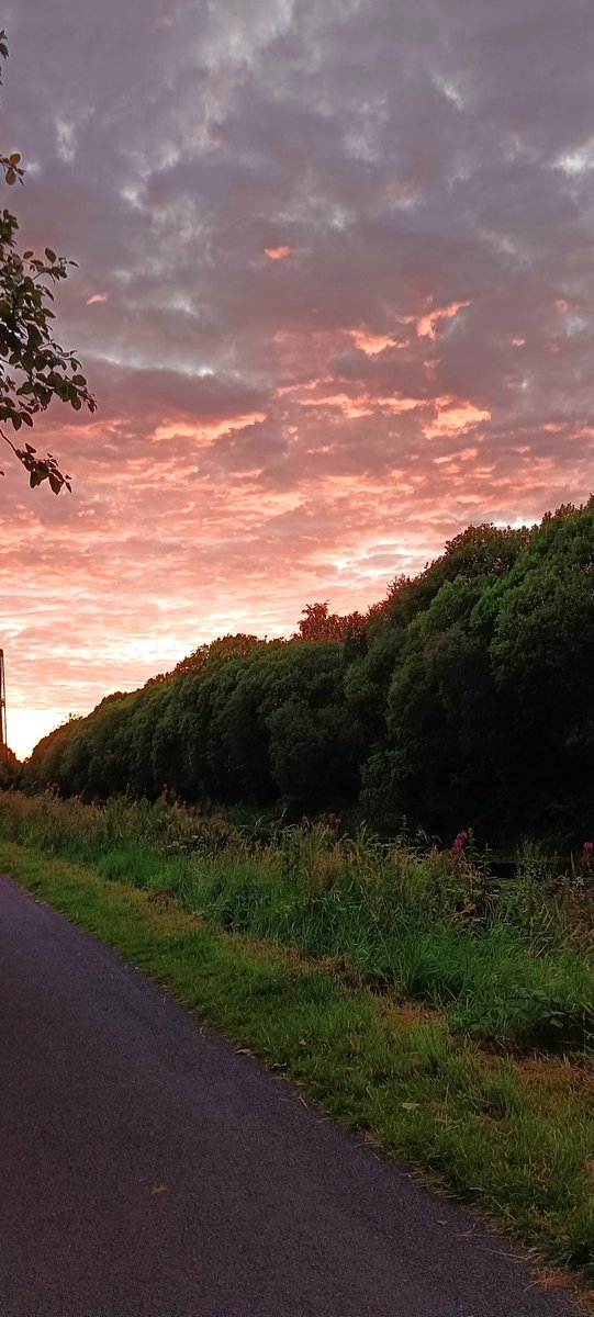 UntravelRoutes's tweet image. We had a great time today exploring the canal and a wee bit dip in the river. #goldenretriever #happydoggo #furbaby #nature #explorers #forthandclyde @scottishcanals #glasgow #walks #Happiness #positivevibes #sunsets #goldenhour