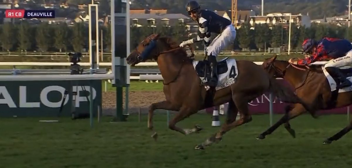 سلطان الميموني
اتمنى لك مزيد من التألق
براڤو 👍