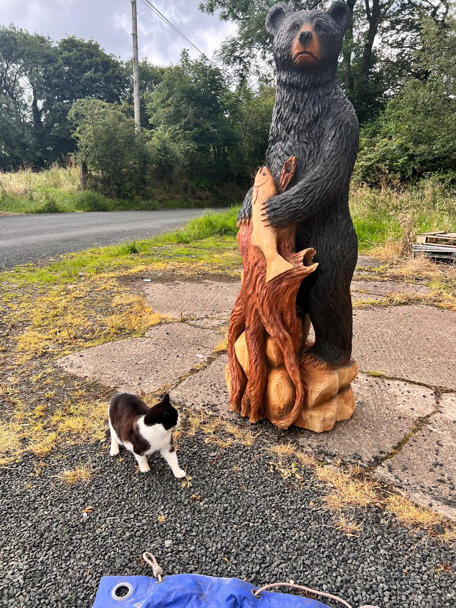 π±ππππππππ ππππππ (@brillianttrails) on Twitter photo If you go down tot he woods today, you might find our black bear. She is heading to the states as. we speak for a new fairy trail in the state of Maine for a landowner. #BelfastHour <a href="/BelfastHourNI/">#BelfastHour</a> If you go down tot he woods today, you might find our black bear. She is heading to the states as. we speak for a new fairy trail in the state of Maine for a landowner. #BelfastHour <a href="/BelfastHourNI/">#BelfastHour</a>