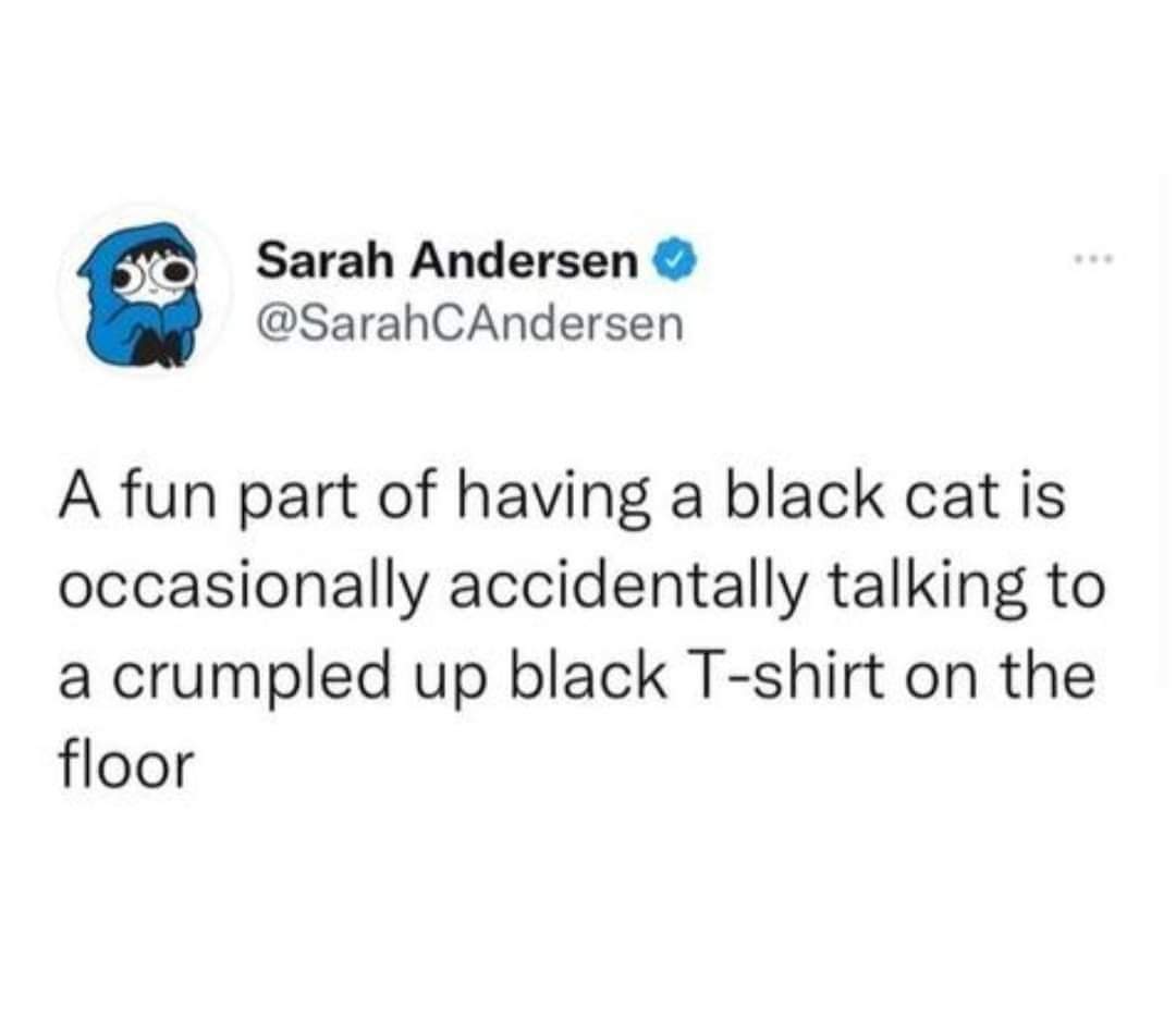 #BlackCatAppreciationDay #BlackCats #HousePanthers

(Via @SarahCAndersen) 🐈‍⬛