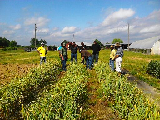It’s been a terrific three episodes with Senchel Matthews, Master Grower and future landowner. seasons.buzzsprout.com Thank you to Senchel for the insightful conversation. <a href="/Heifer/">Heifer International</a> <a href="/utextension/">UT Extension</a> @UTExt_Dean <a href="/TowerGarden/">Tower Garden</a> <a href="/Agricenter_Intl/">Agricenter International</a> #sustainable #food #grower #farming