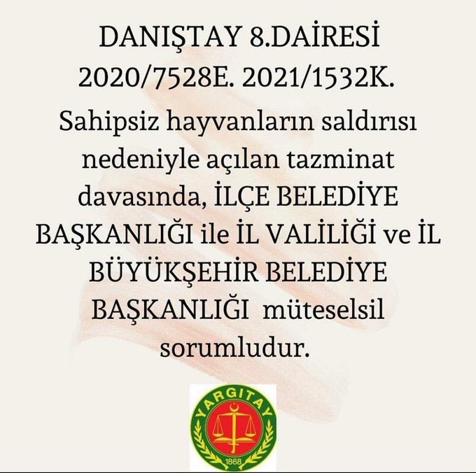 Net Gündem - 🇹🇷 (@netgundem_) on Twitter photo 