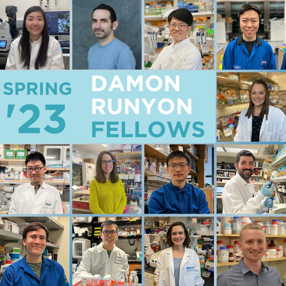 Damon Runyon Cancer Research Foundation (@damonrunyon) on Twitter photo Say hello to a new class of Damon Runyon Fellows! We’re honored to announce these thirteen remarkable postdoctoral scientists who are joining our #braveandbold mission to advance cancer research.
Learn more about our new Fellows: bit.ly/3OGHCKL Say hello to a new class of Damon Runyon Fellows! We’re honored to announce these thirteen remarkable postdoctoral scientists who are joining our #braveandbold mission to advance cancer research.
Learn more about our new Fellows: bit.ly/3OGHCKL