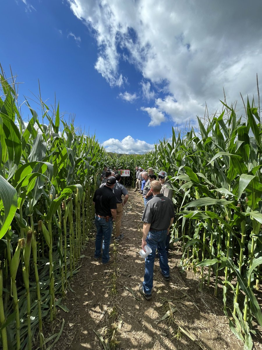 Corn is looking pretty good in Wooster, Ohio. How’s your corn coming along?
#mfeXperience #corn