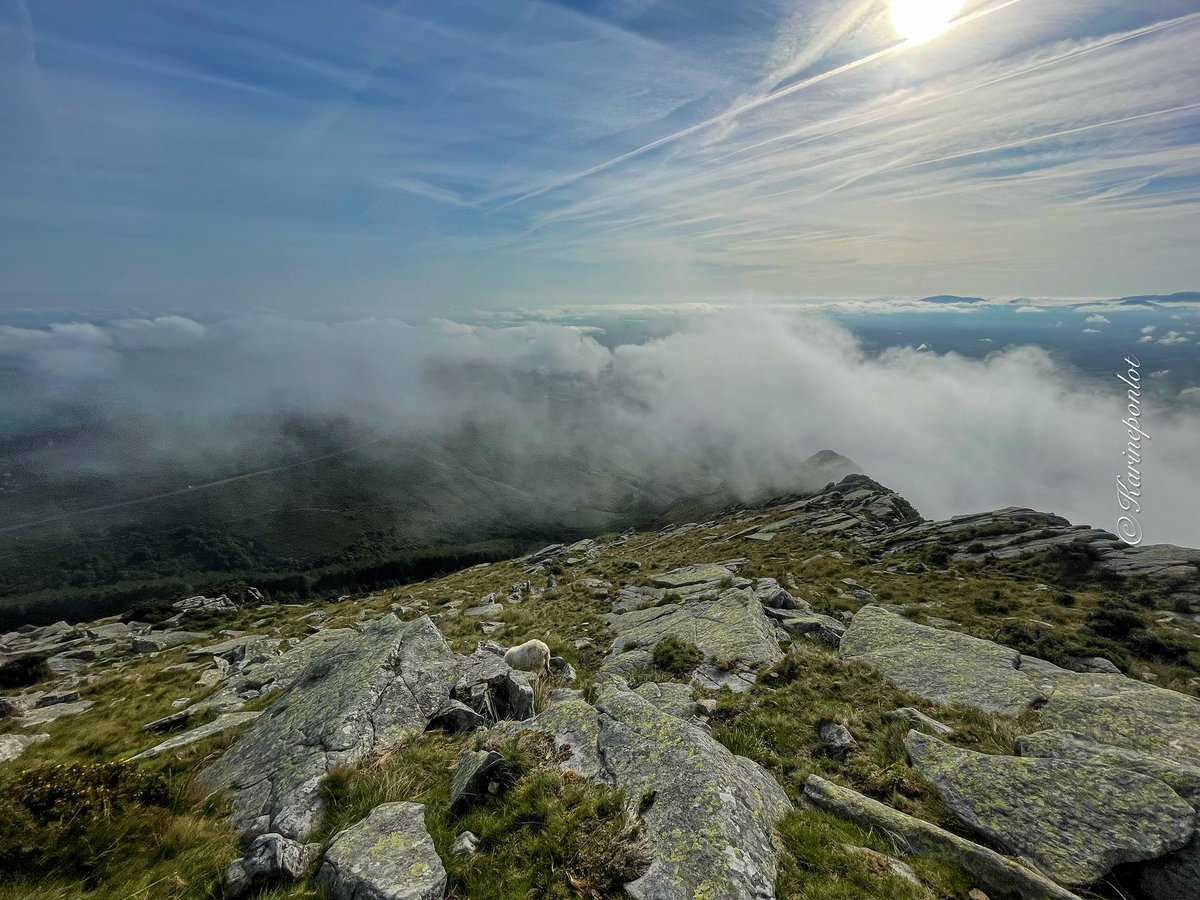 Aller plus haut 🎶🎵
#BaladeSympa #paysbasque #larhune 
#mountain #pyrenees