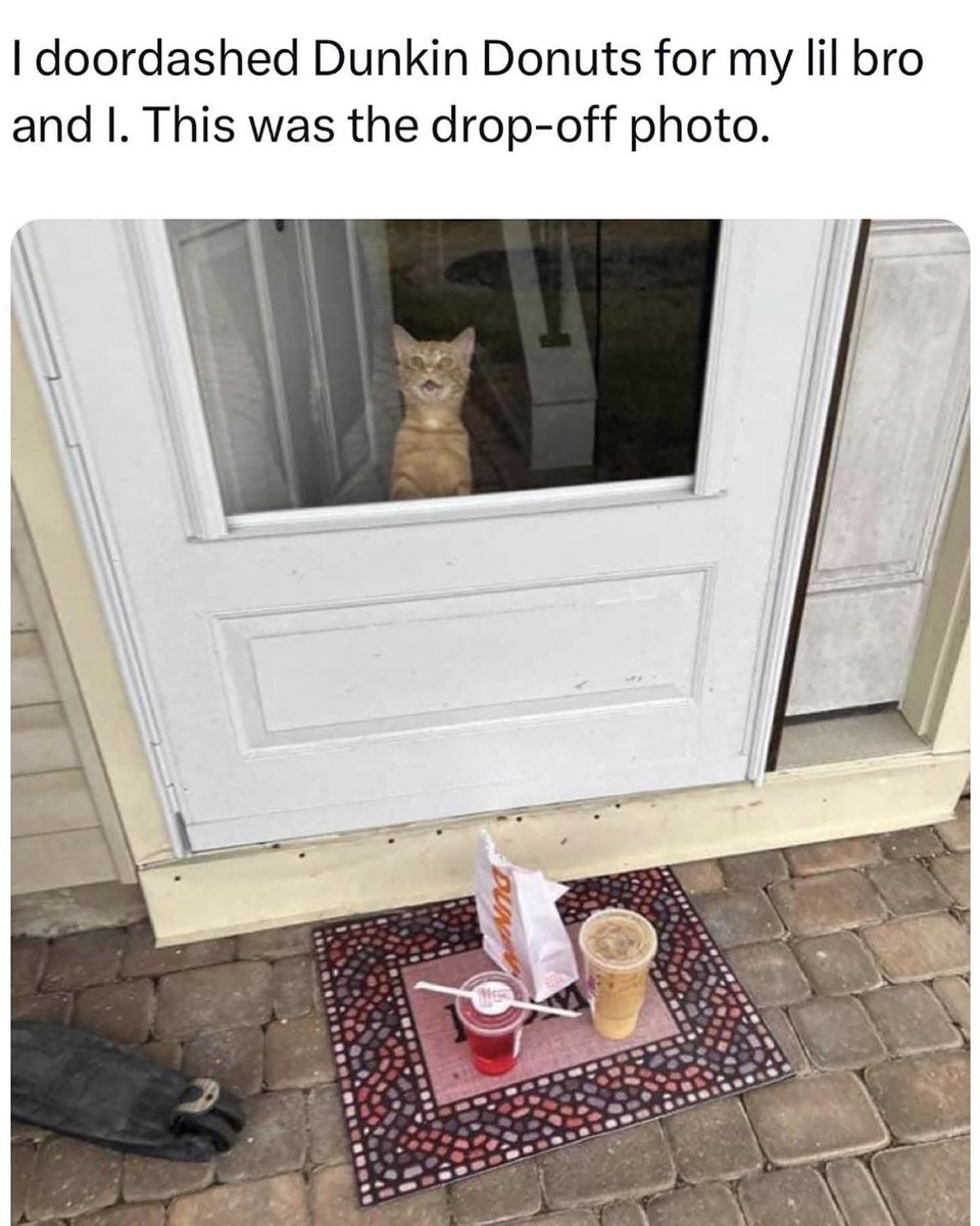 CatMemes's tweet photo. https://t.co/CqKlvnQ2Ei