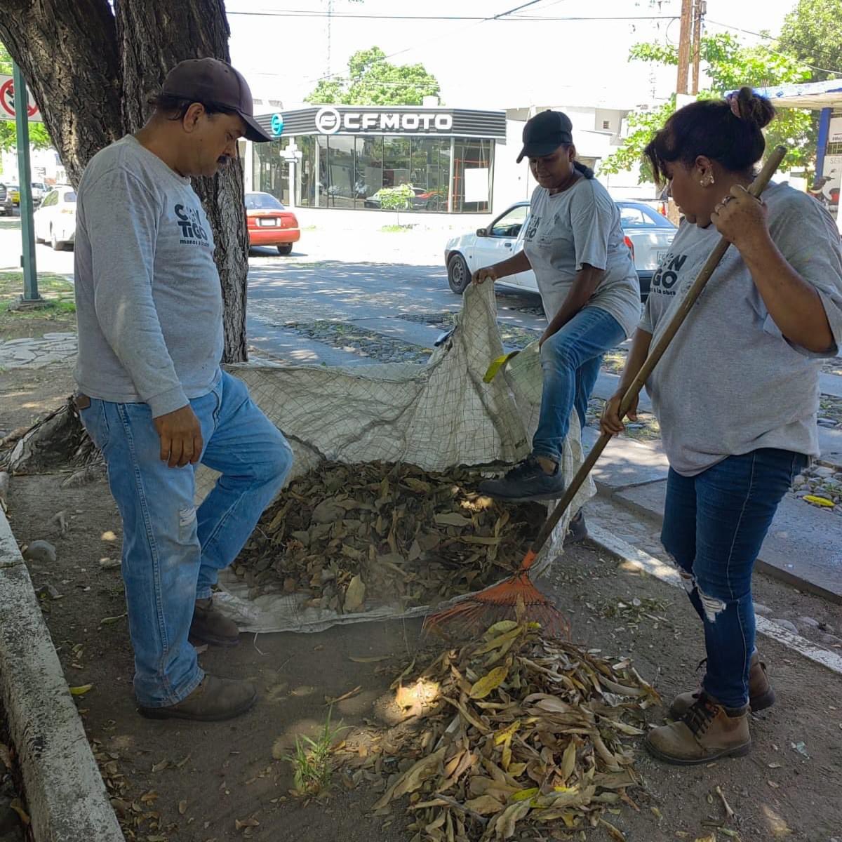 ColimaMunicipio's tweet photo. ¡Con mucho optimismo las compañeras y compañeros del Ayuntamiento ponen #ManosALaObra en tus espacios!
Atendieron le camellón de la Av. Ignacio Sandoval para tener el #ColimaLimpio que mereces. https://t.co/wEb2wD8TMW