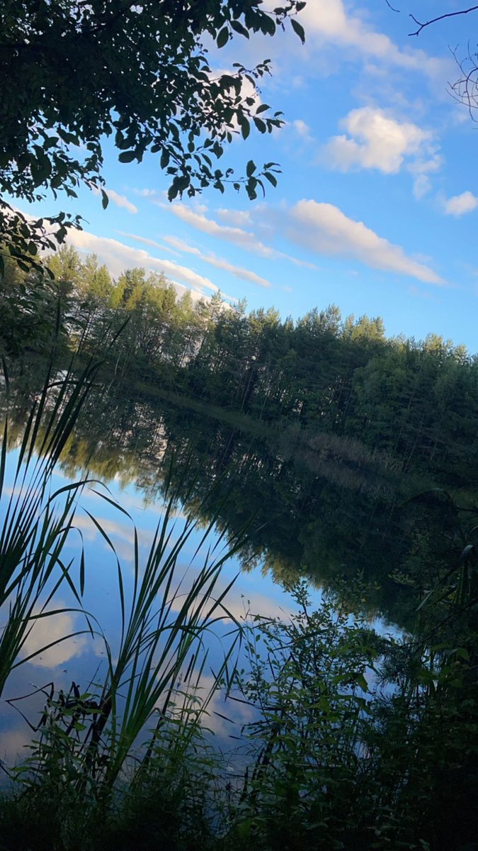 Julies1na's tweet photo. Great day for a walk https://t.co/1lyYxk6Dt3