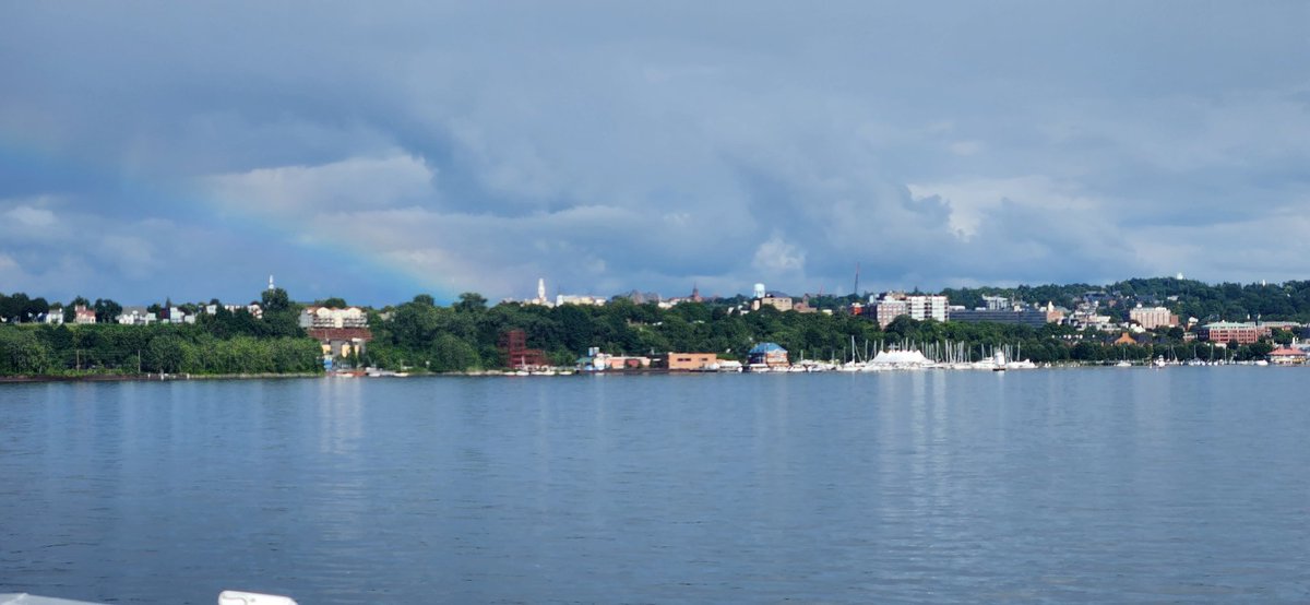 Dr. Justin S. Lesser, Ph.D. tweet media