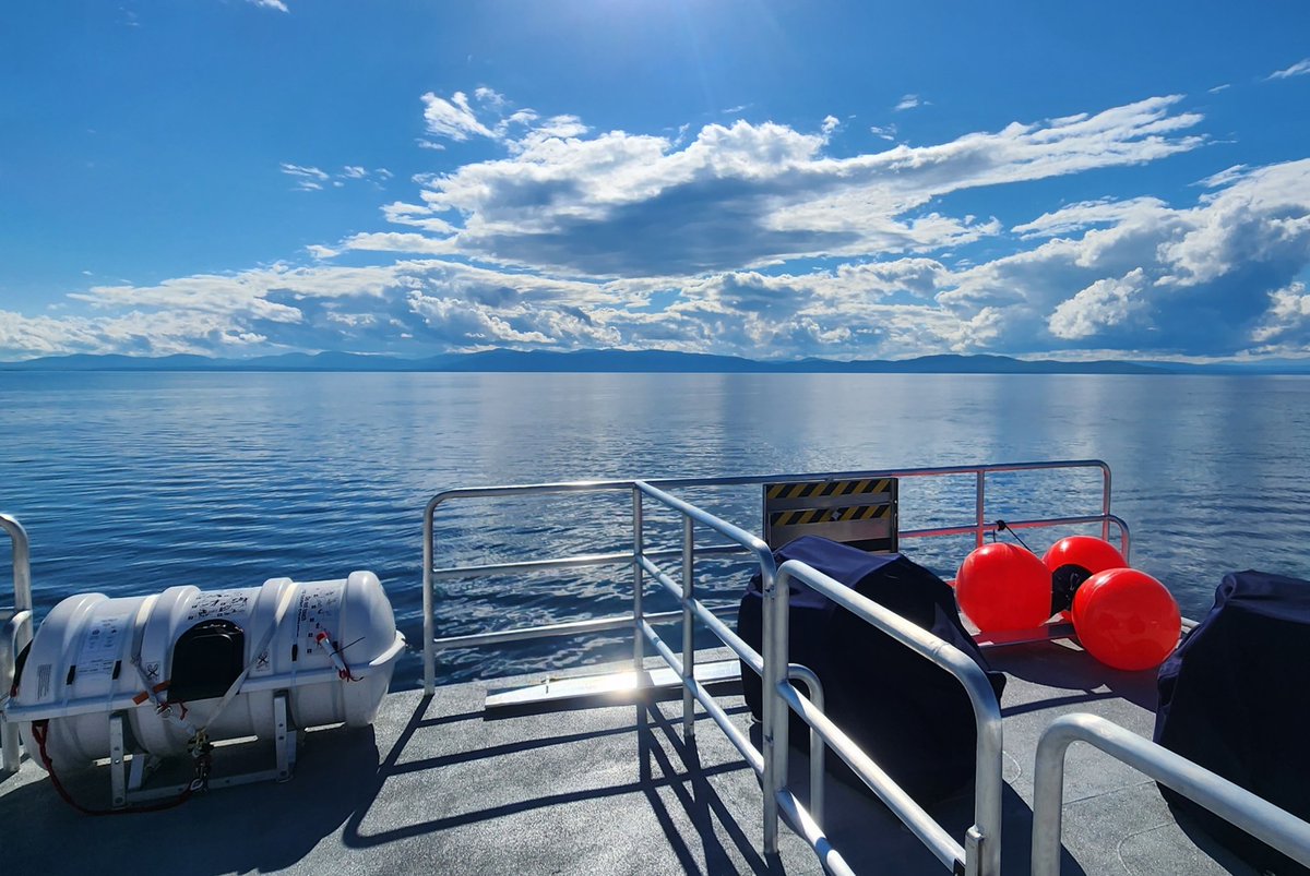 Dr. Justin S. Lesser, Ph.D. tweet media