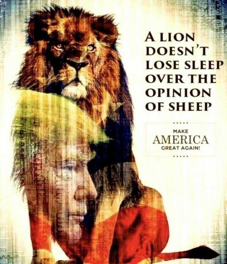 bossysbunnies's tweet image. #DefendTrump