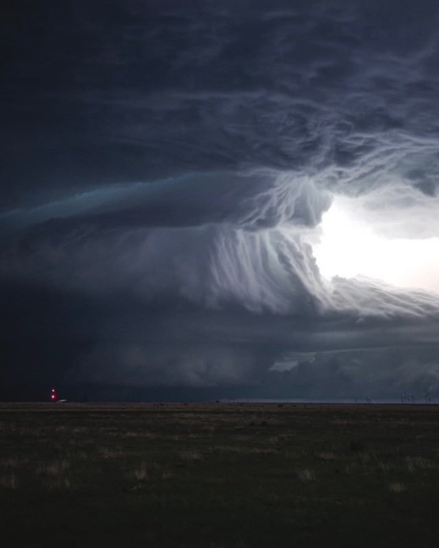 The Artist                         Vs.                              The Art