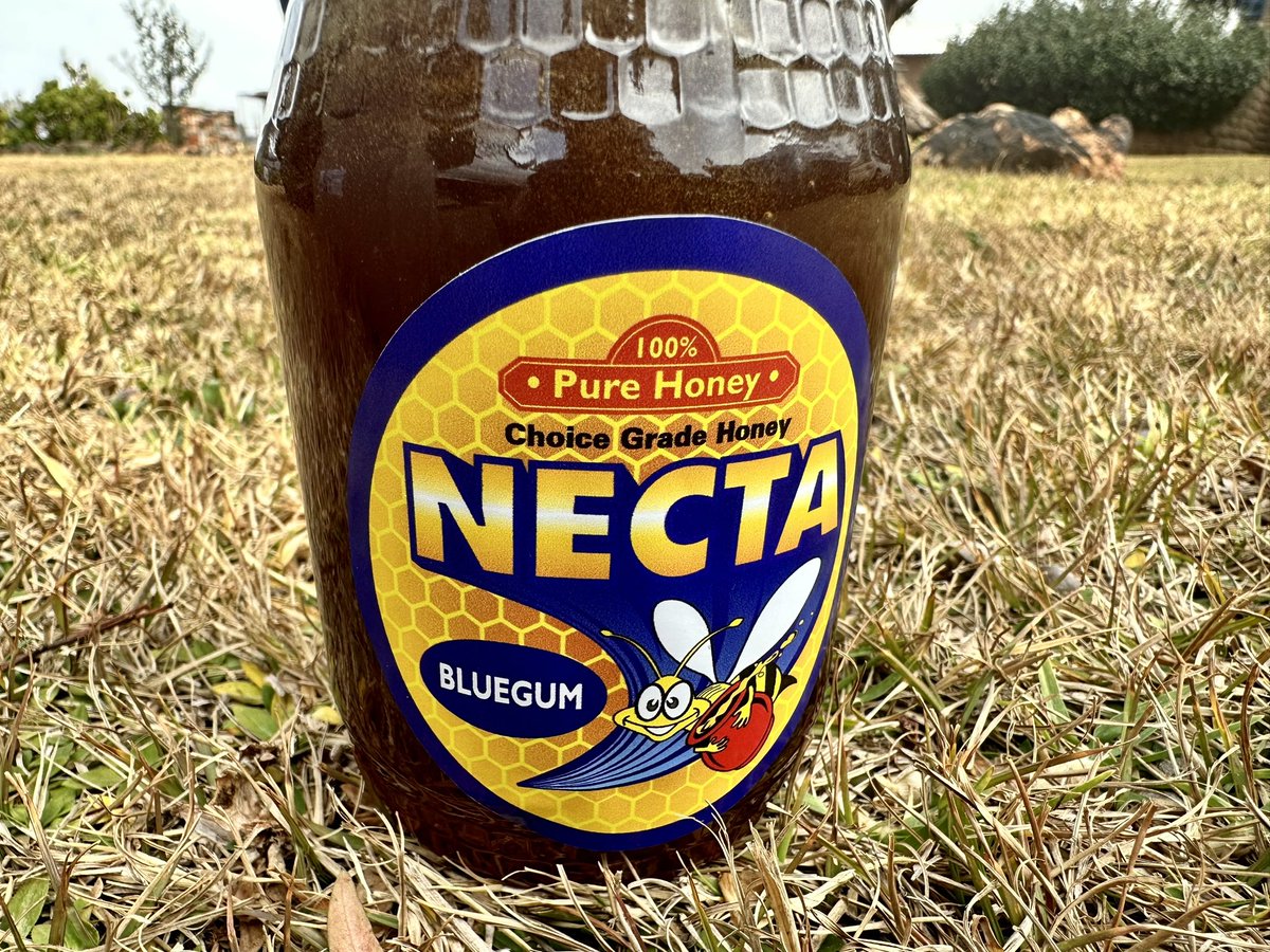 Ndimafarms's tweet image. "Nature's sweetest gift, now at your fingertips! 🍯✨ Indulge in the golden goodness of our organic honey, harvested with care. Elevate your taste buds and support a healthier, more flavorful lifestyle today. 🌼🐝 #PureOrganicBliss #GoldenNectar #NaturallySweet"
0645149069